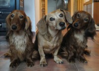 /album/spolecne-foto/dsc08678hjgzbn-jpg/