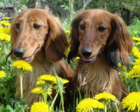 /album/spolecne-foto/i-jpg/