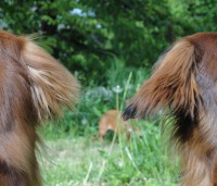 /album/spolecne-foto/dsc09665-jpg/