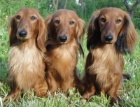 /album/spolecne-foto/dsc09694-jpg1/