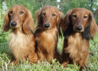 /album/spolecne-foto/dsc09696-jpg/