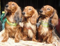 /album/spolecne-foto/dsc00163-jpg/