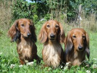 /album/spolecne-foto/dsc00174-jpg/