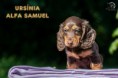 /album/hneda-fena/img-5522-1-jpg/