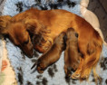 /album/fotky39/3e68cde6-467c-46f2-aed8-cd7725b5917f-jpg/